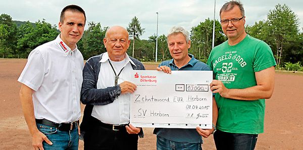 geier kunstrasen spende