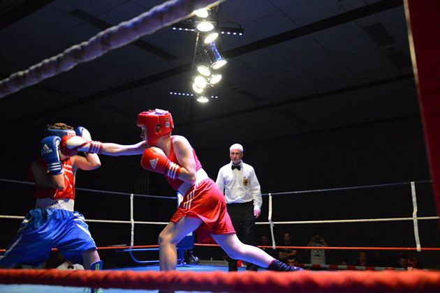 Boxen Max Geier