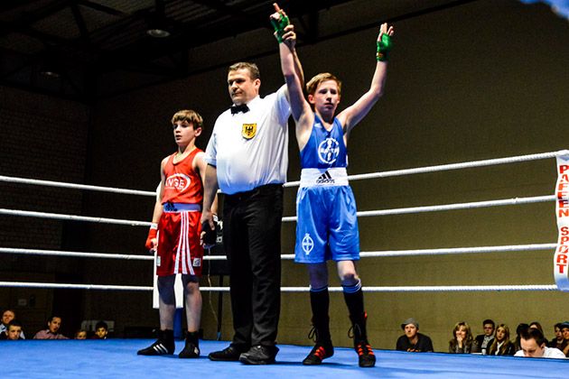 Boxen Max Geier